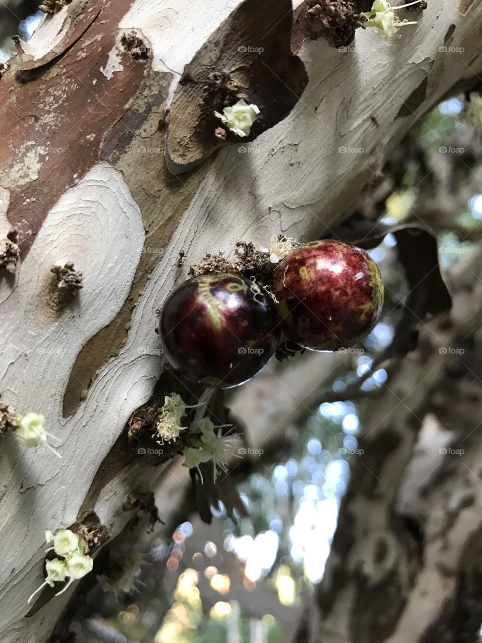 I just took a nice picture and wanted to share 