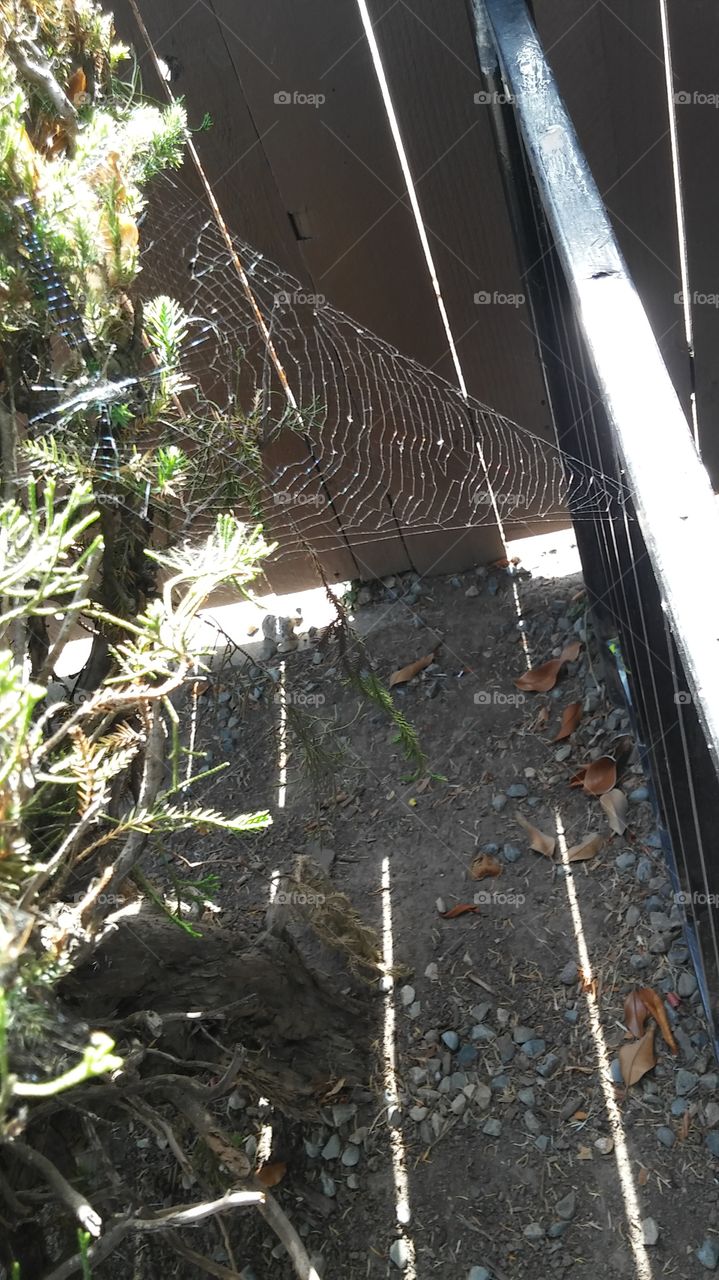 No Person, Nature, Outdoors, Desktop, Architecture