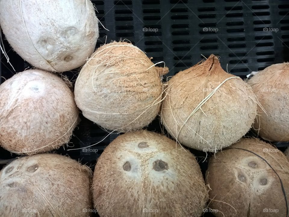 Eight coconuts, ready for sale.