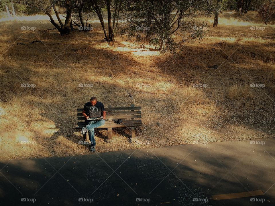 Drone Photography "book reading in the park"