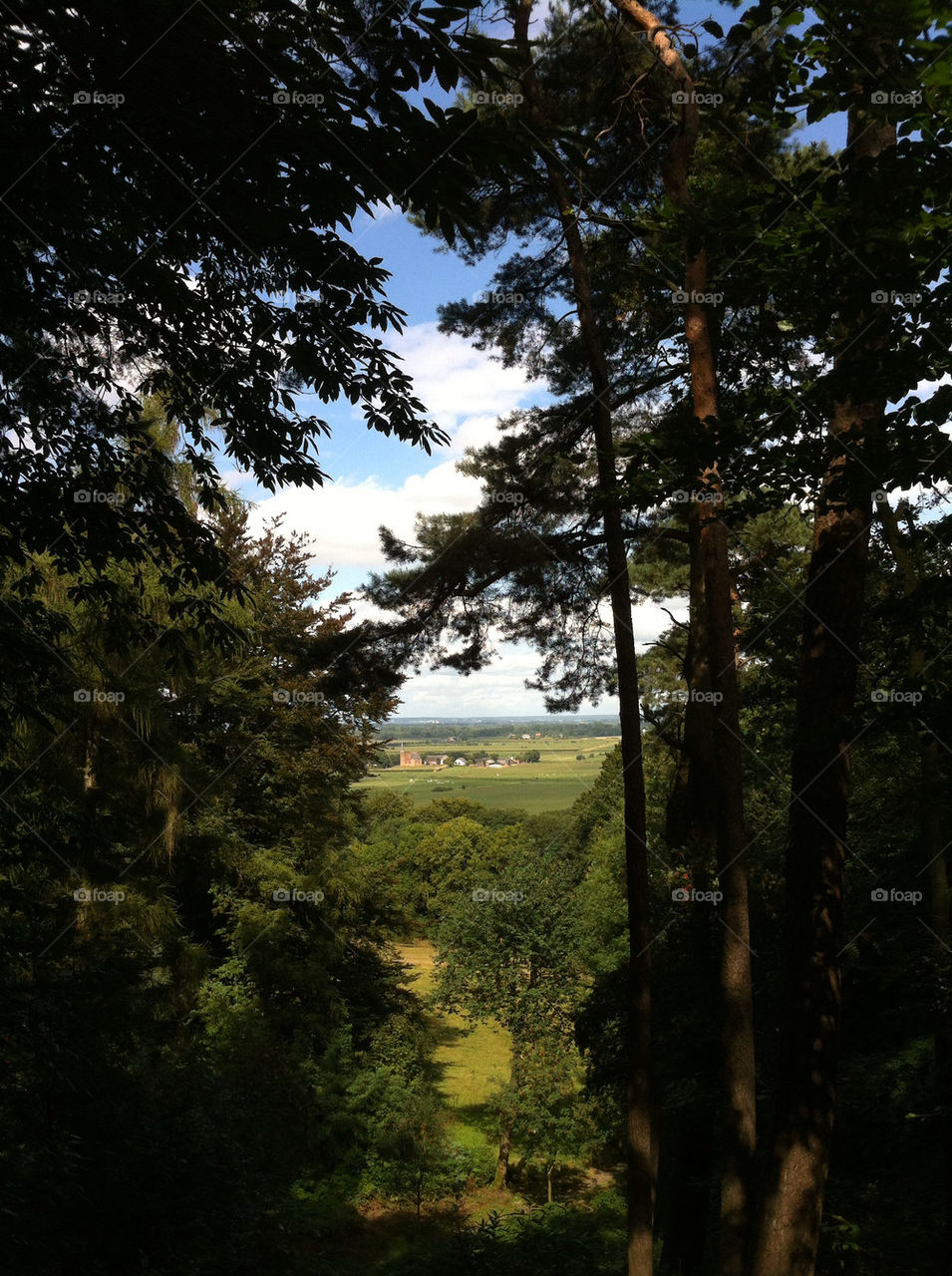 beek nature trees view by Pietorrr