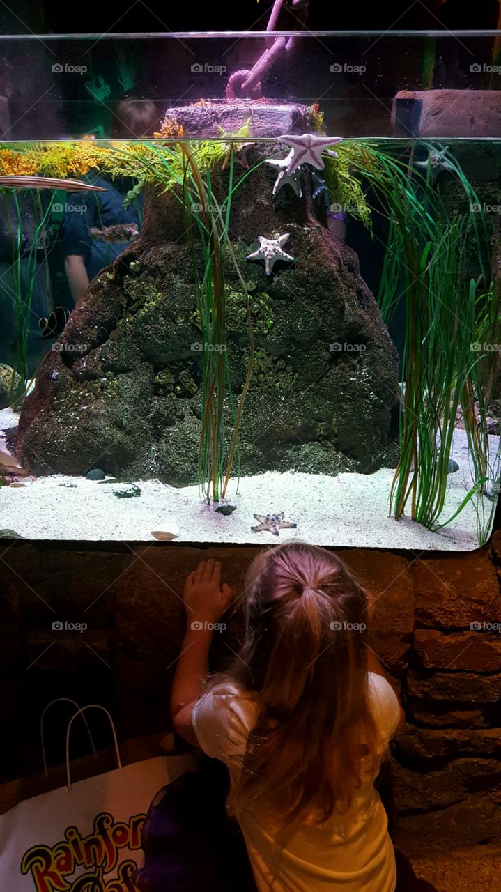 Visiting an Aquarium