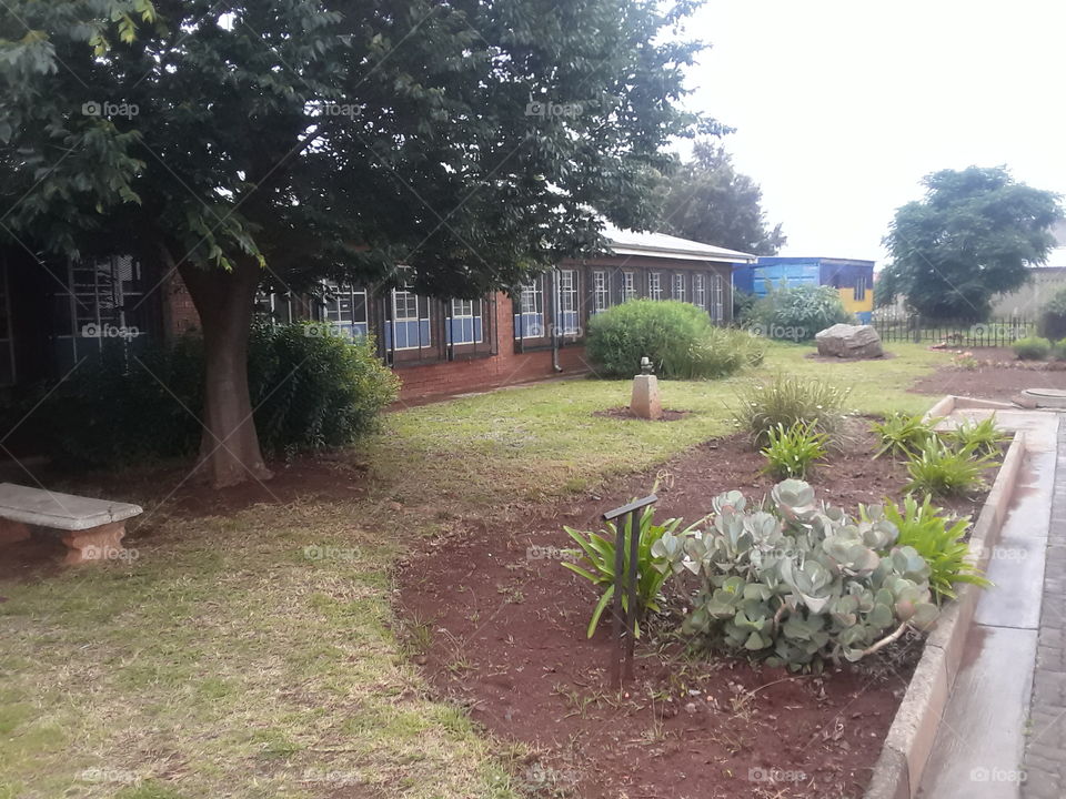 A beautiful school garden.
