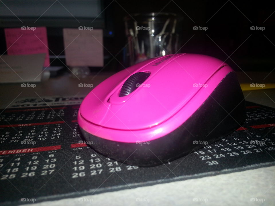 Computer Mouse