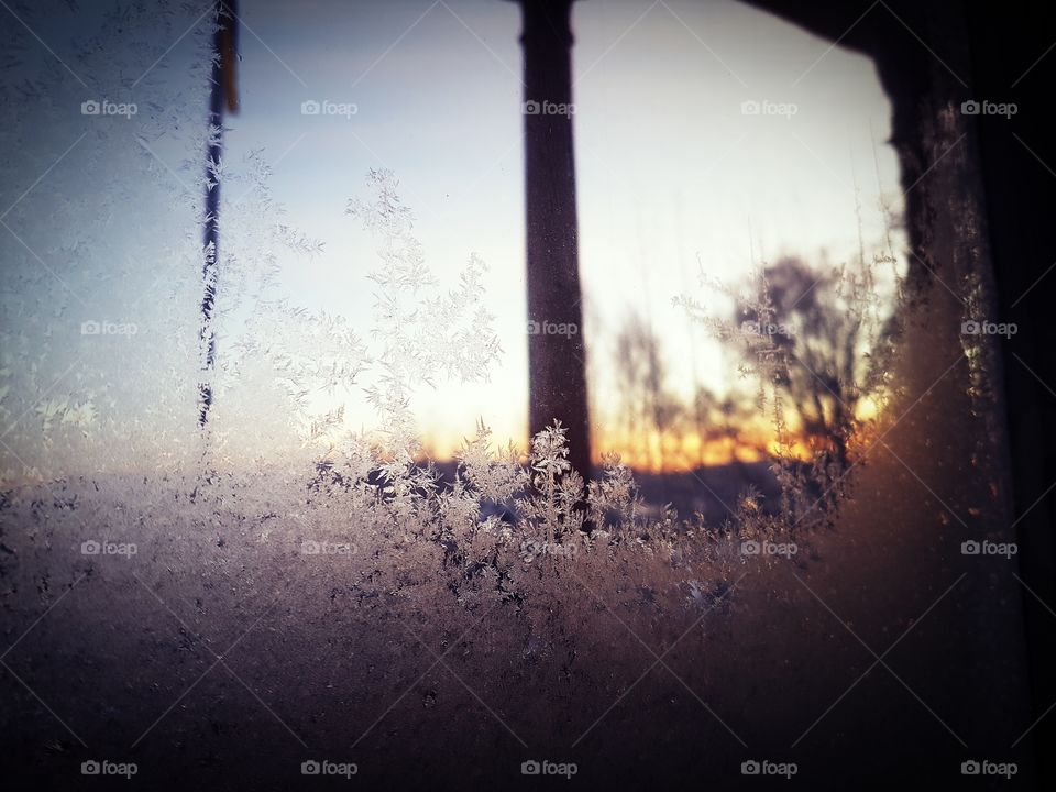 Window view on Swedish winter.
