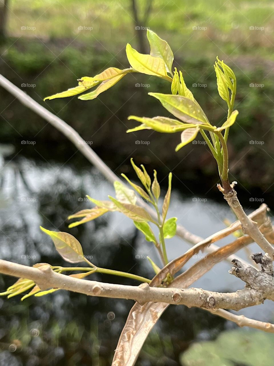 Colors of Spring 🌸