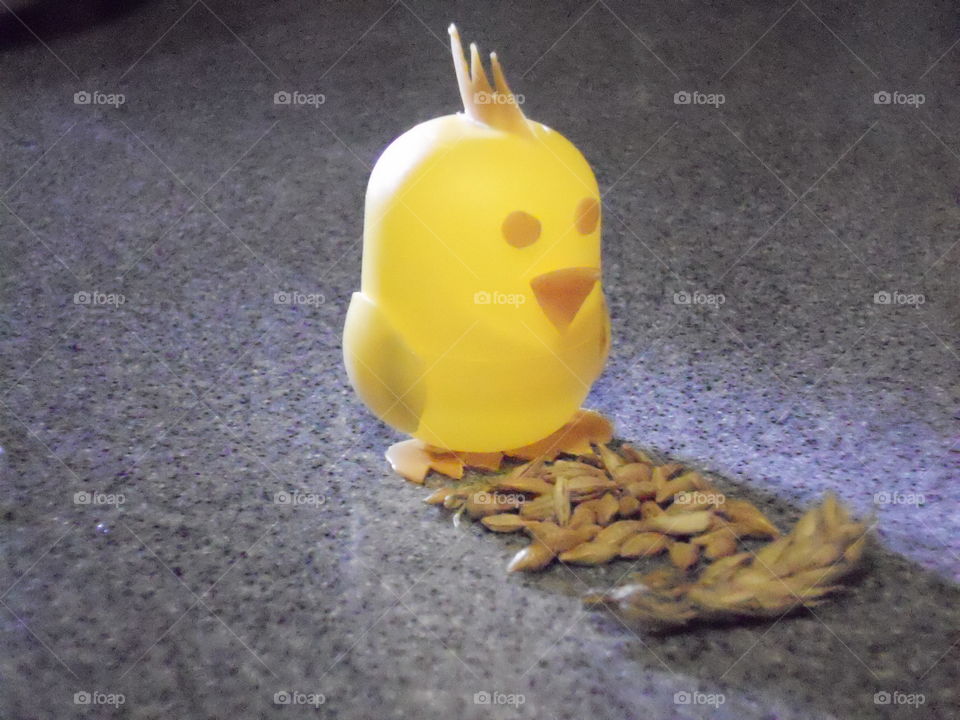 Chicken from Kinder surprise