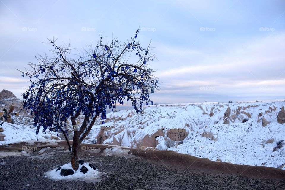 Cappadocia evil eye tree, winter time, turkey
