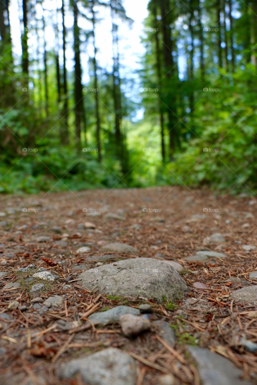 Hiking in Vancouver Canada. Loved all the green, makes me so happy being in nature. 