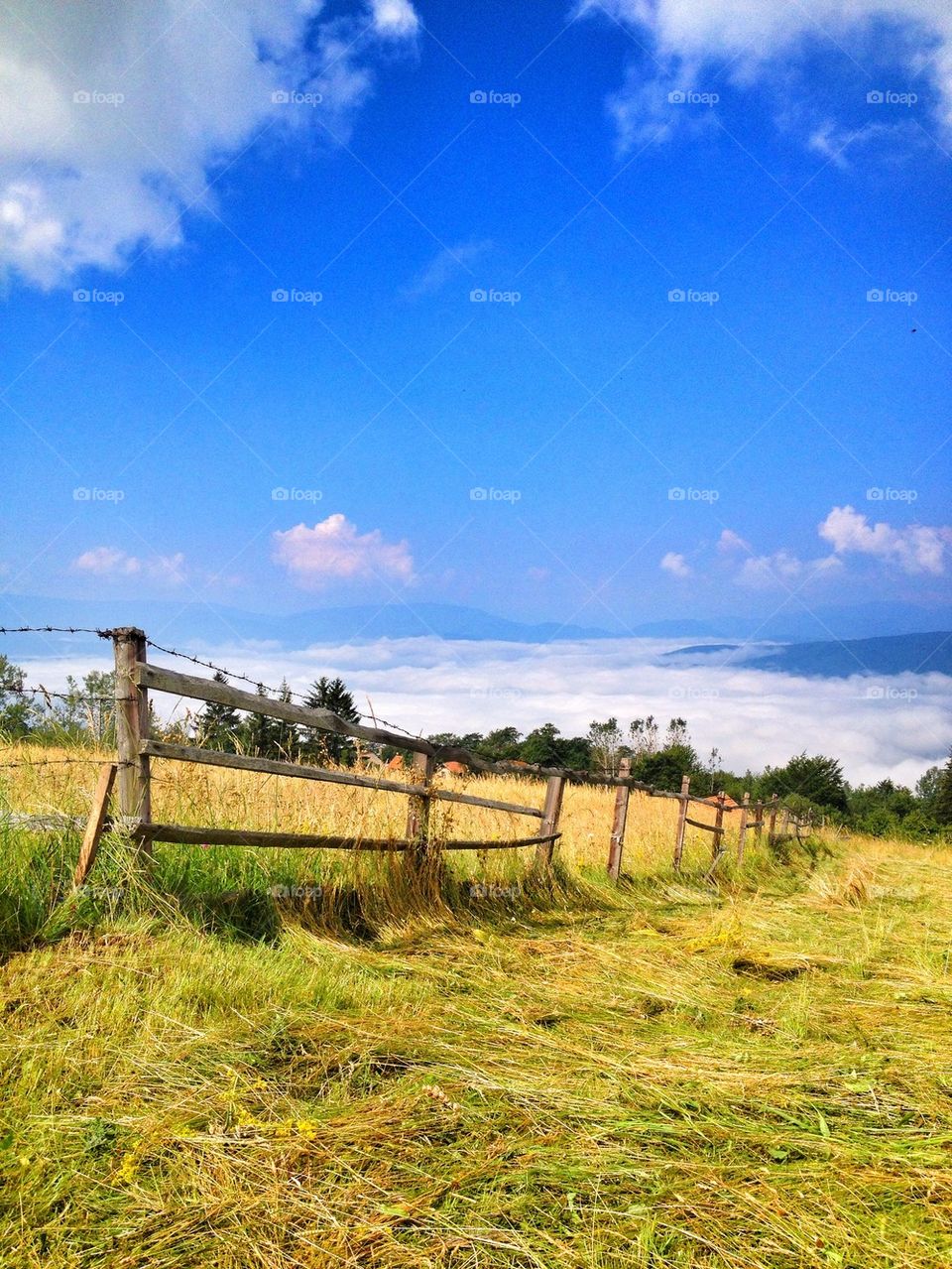 Wooden fence on wood