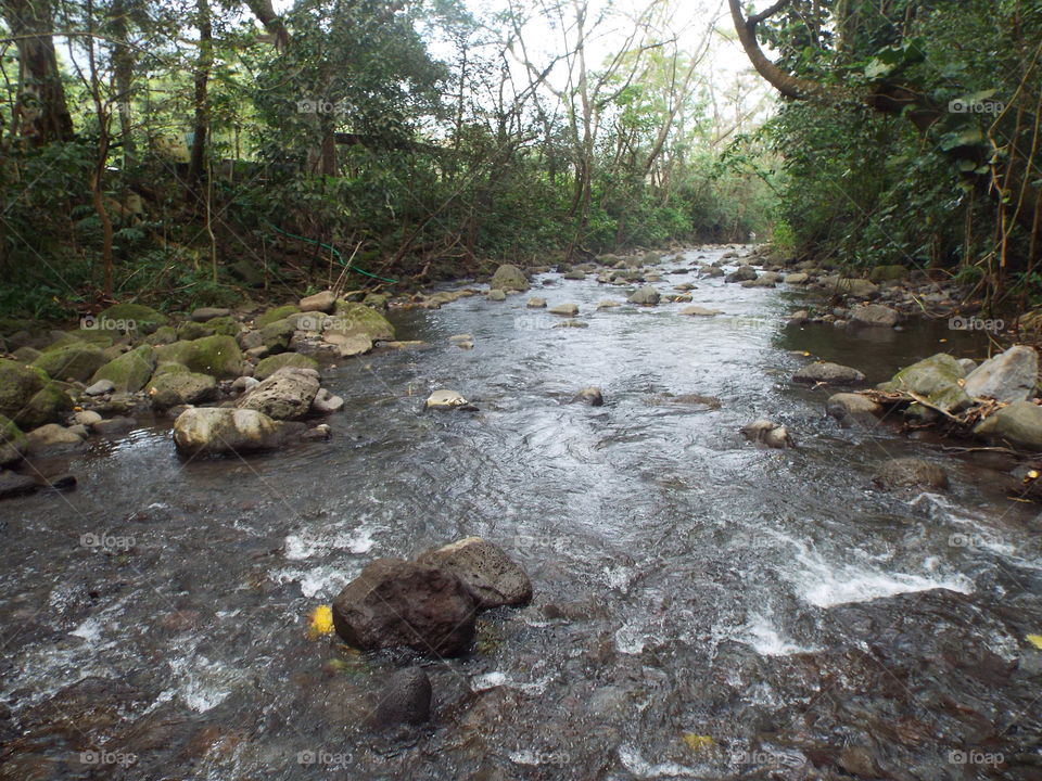 Inside the Waipio valley