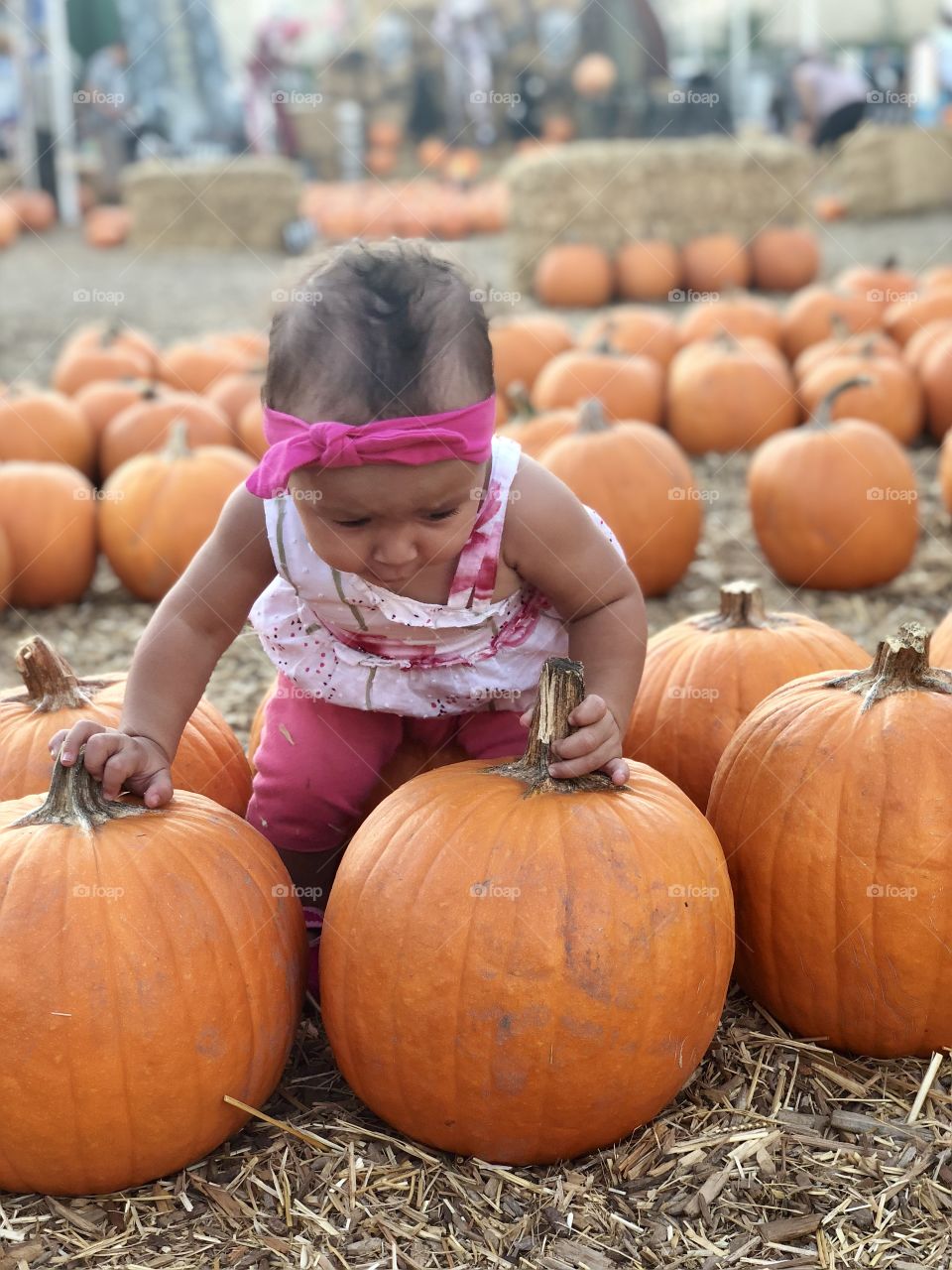 Pumpkins 