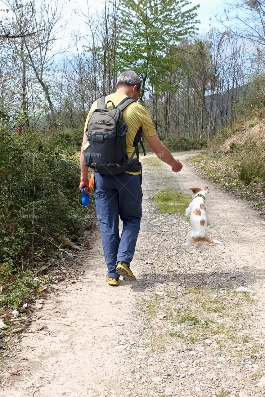 Wow, I'm walking with my human and I'm very happy