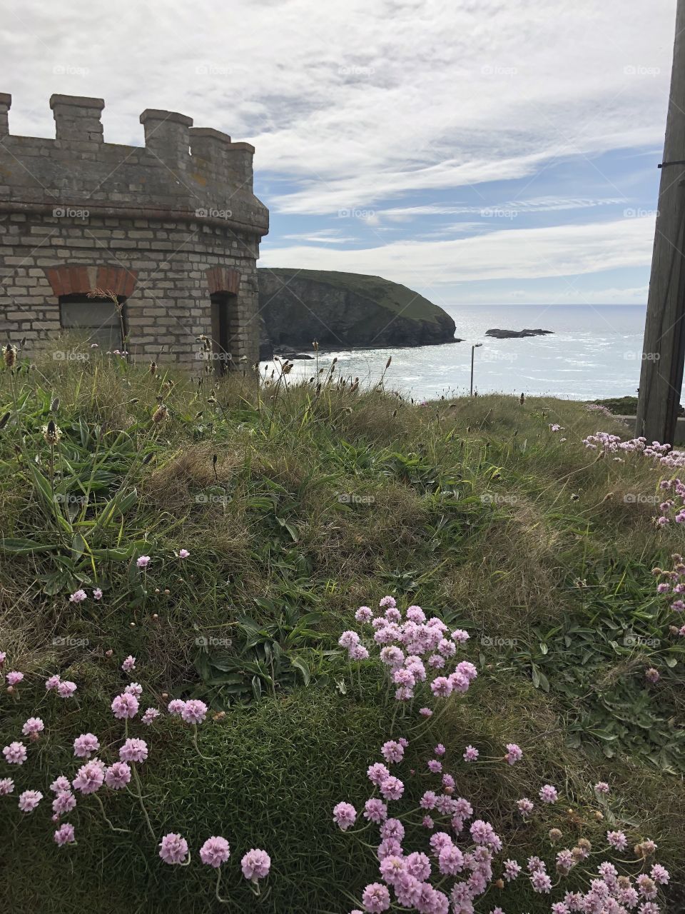 Another photo from the lovely Portreath, impressive because of the added attraction of the beautiful wild flowers.