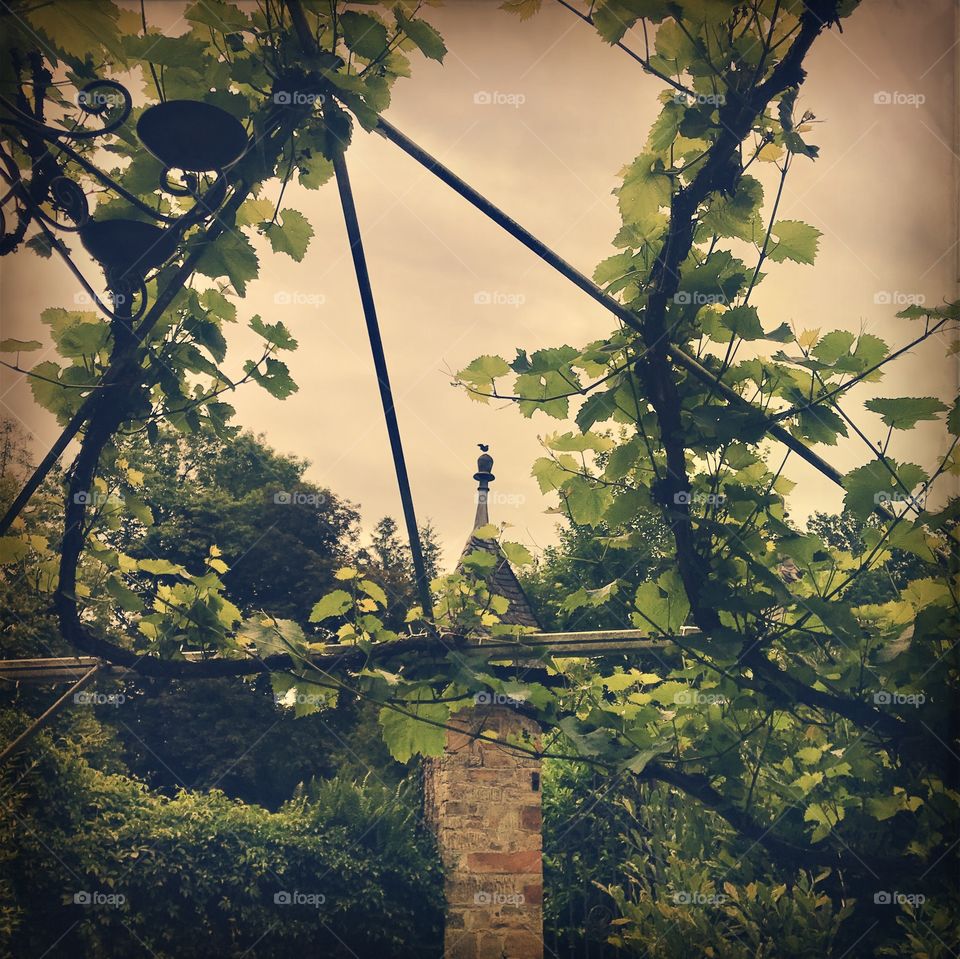 Vogel auf Turmspitze 