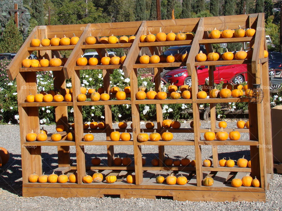 Pumpkins