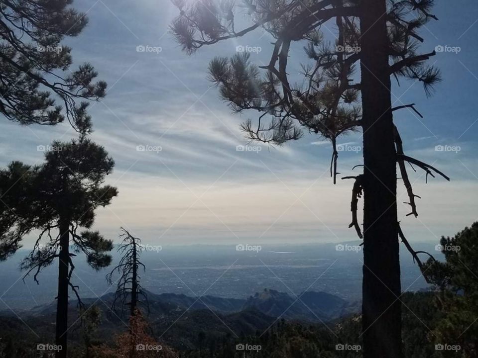 Clouds above the forest