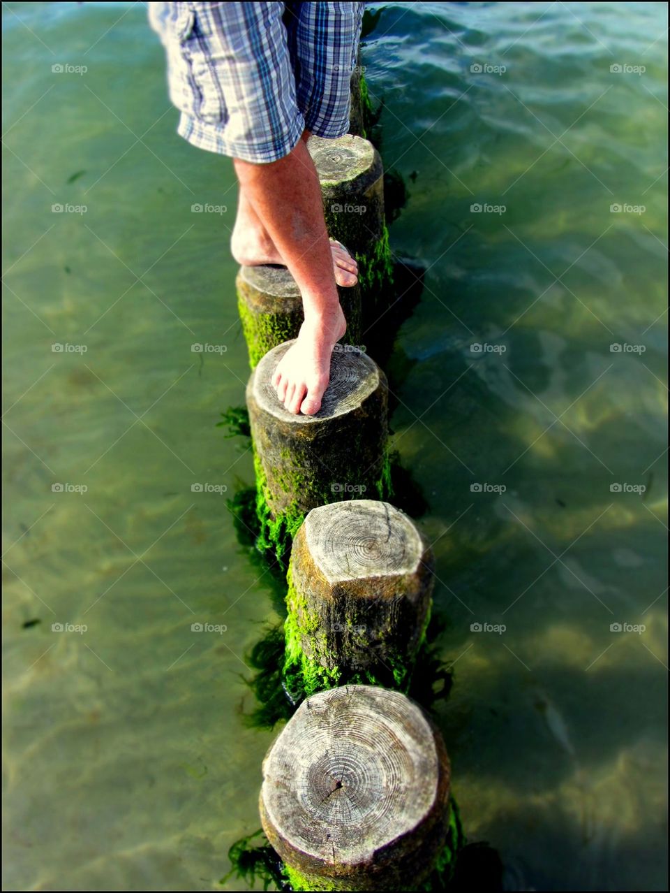 water sea optimism seaweed by jootto