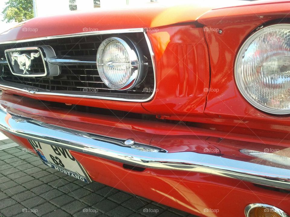 mustang