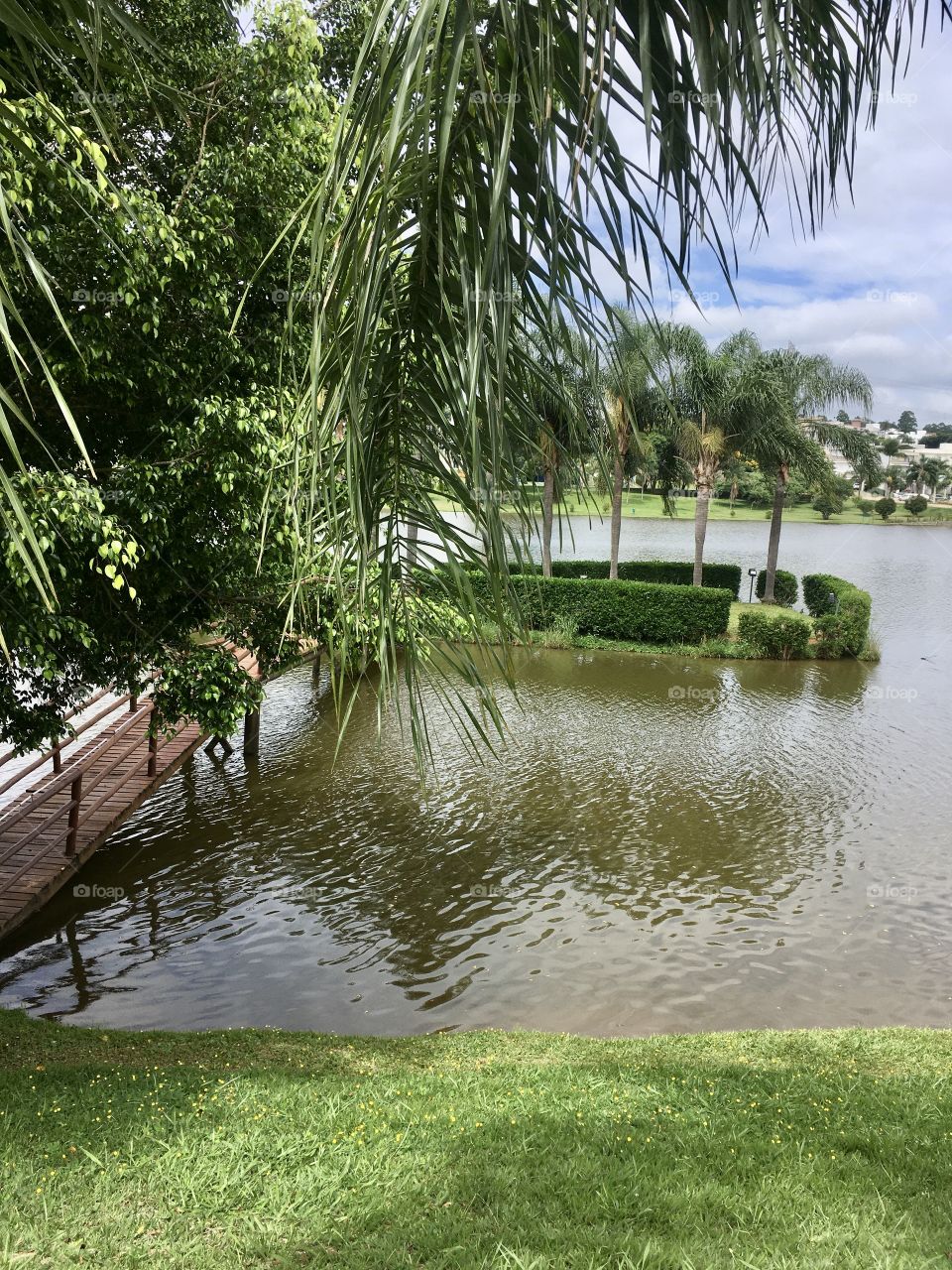 A landscape with a lot of green!  The lake and island in the condominium ... / Uma paisagem com muito verde! O lago e a ilha no condomínio...