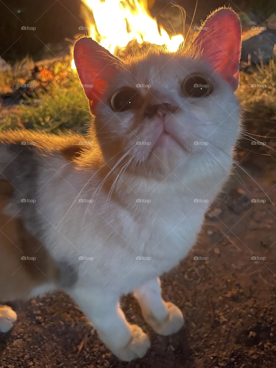 Natural without editing 