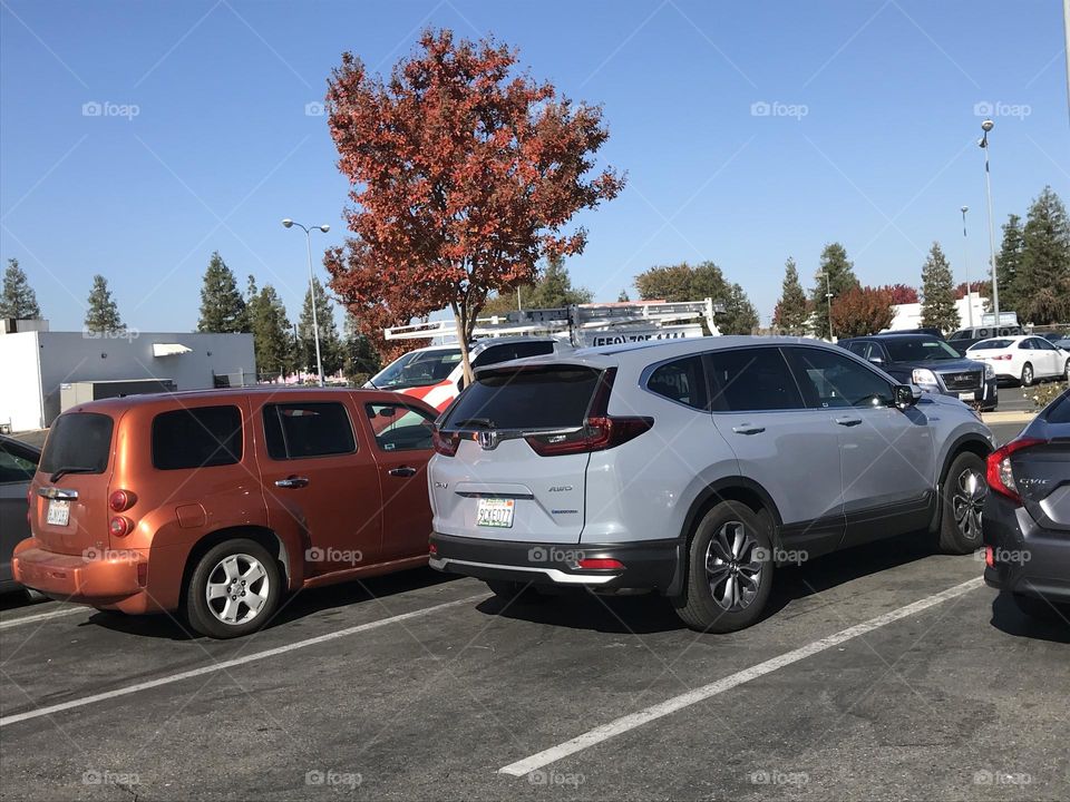 Vehicles in the parking lot outside the supermarket.