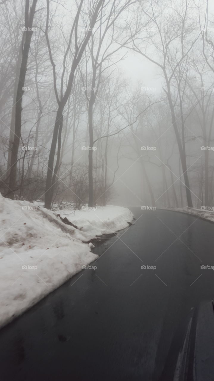 Snow, Winter, Fog, Ice, Landscape