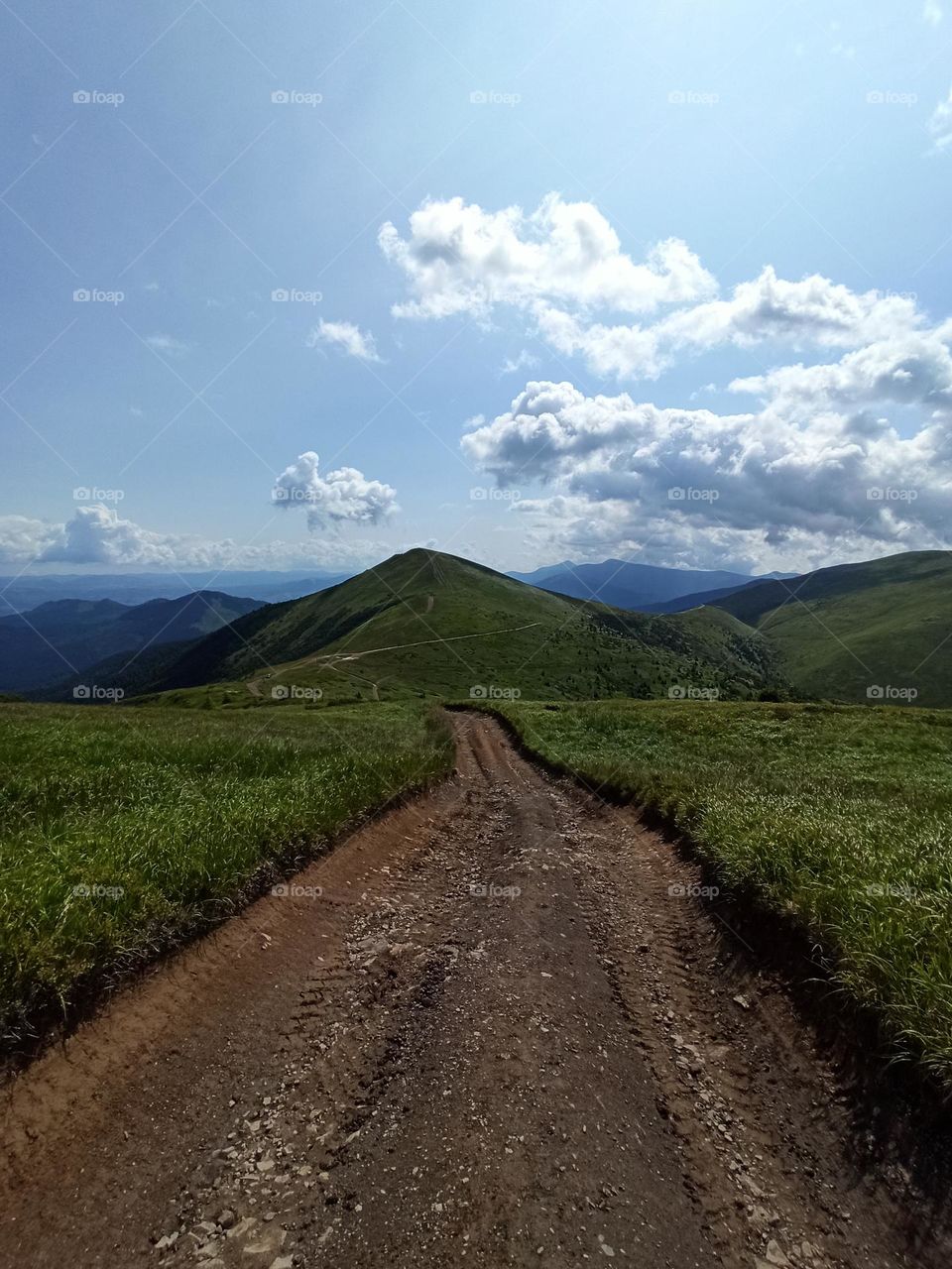Your favourite travel destination
My beloved Carpathians. Green flower meadows. Cows with bells around their necks. Unforgettable trip across Ukraine. Mountains Dragobrat. Magnificent nature.