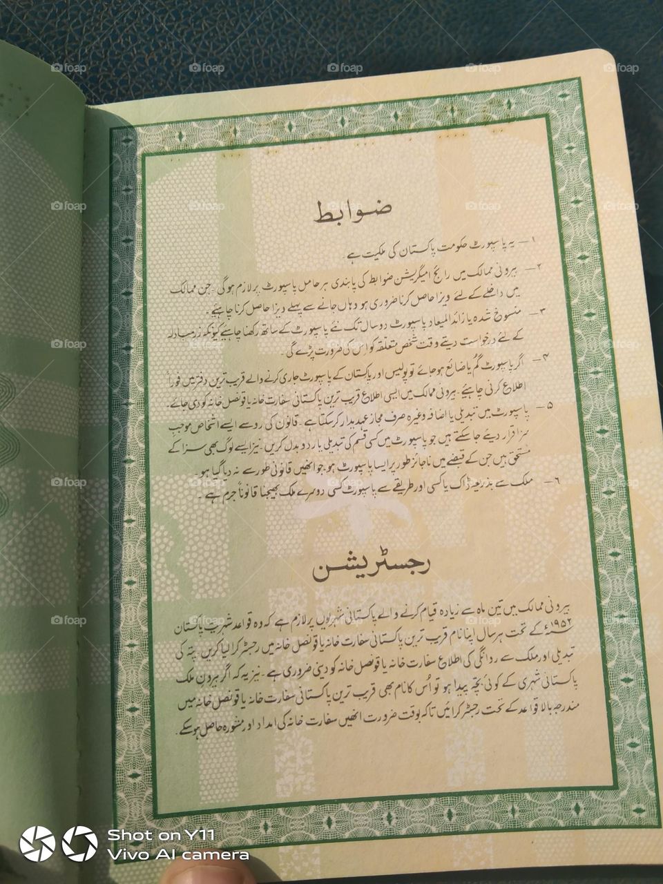 invalid passport....