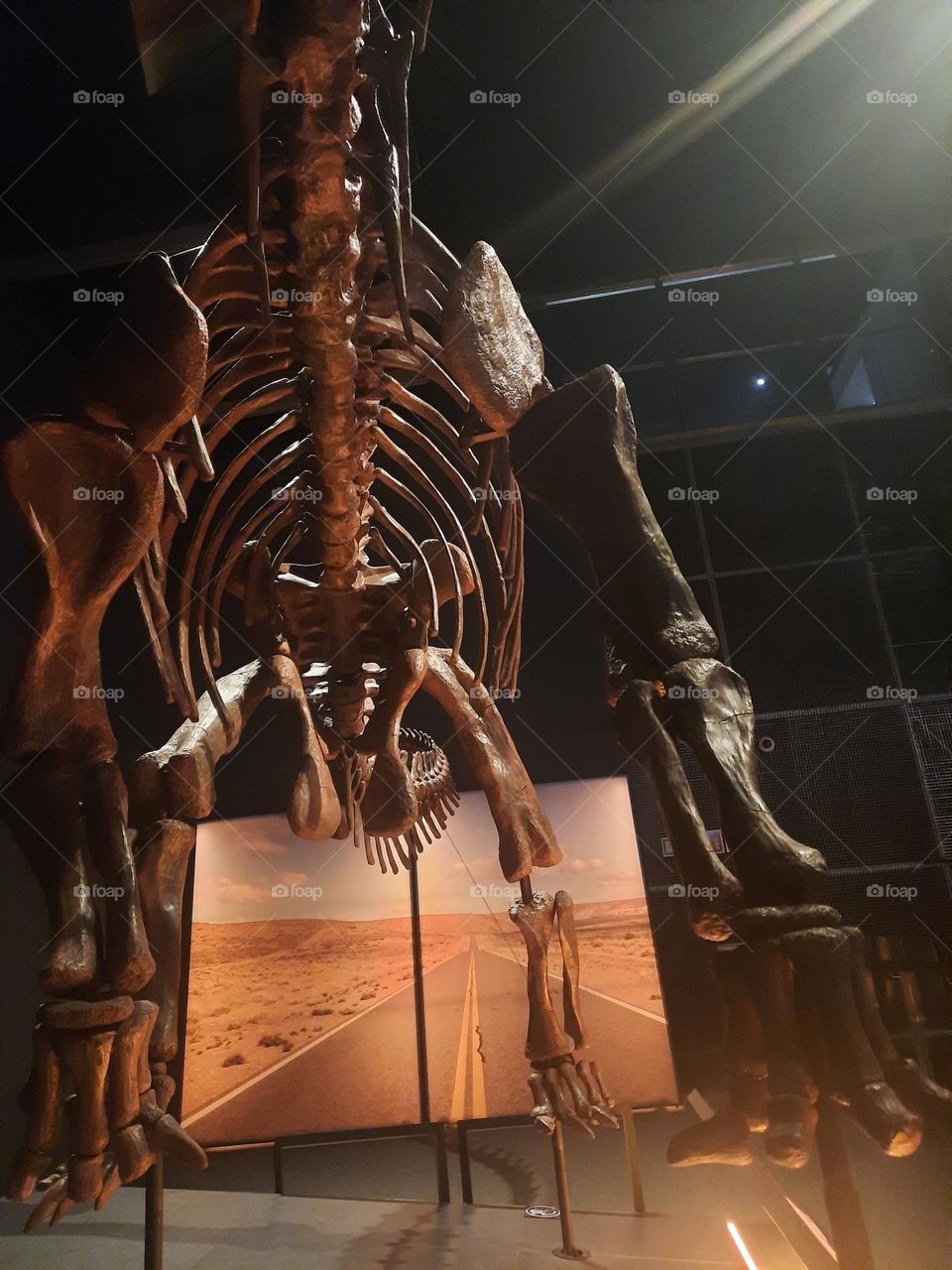 dinosaurs in patagonia exhibition
