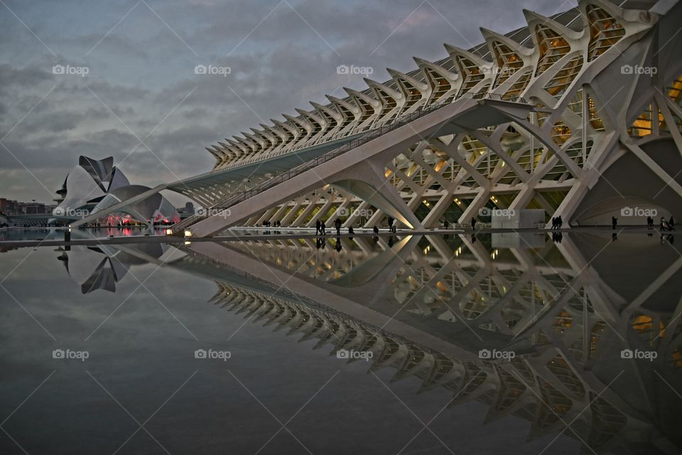 Ciudad de las Artes y las Ciencias 
City of Arts and Sciences