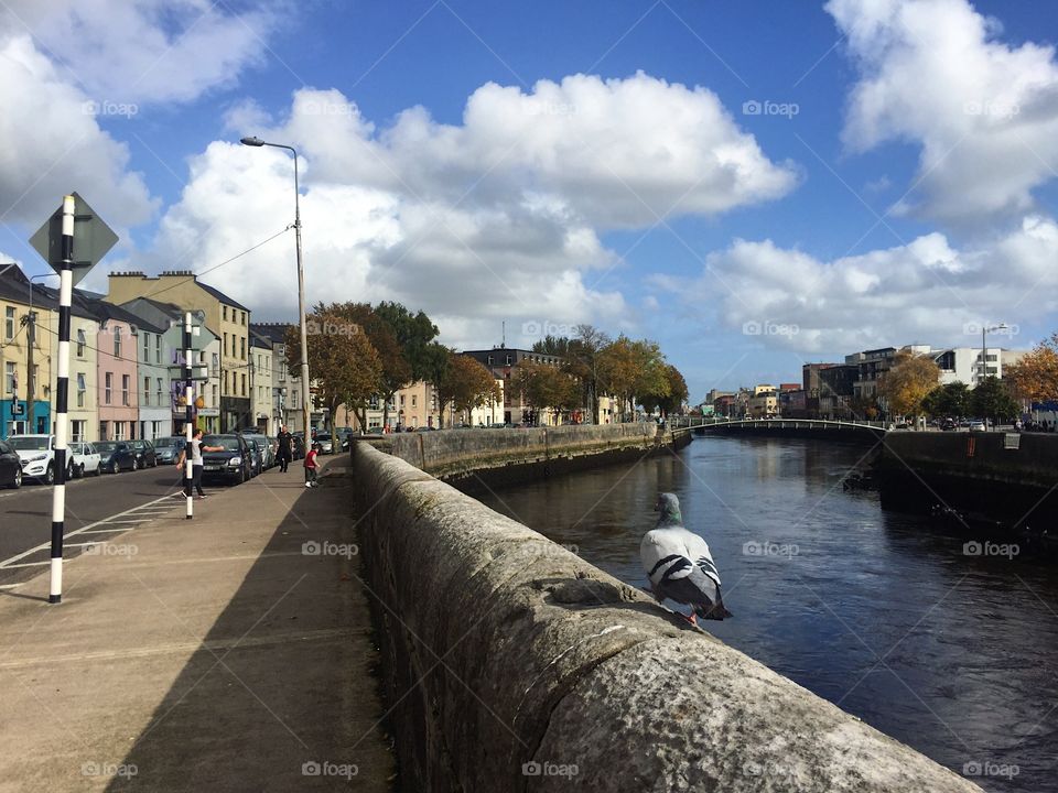 Water, River, City, Canal, Travel