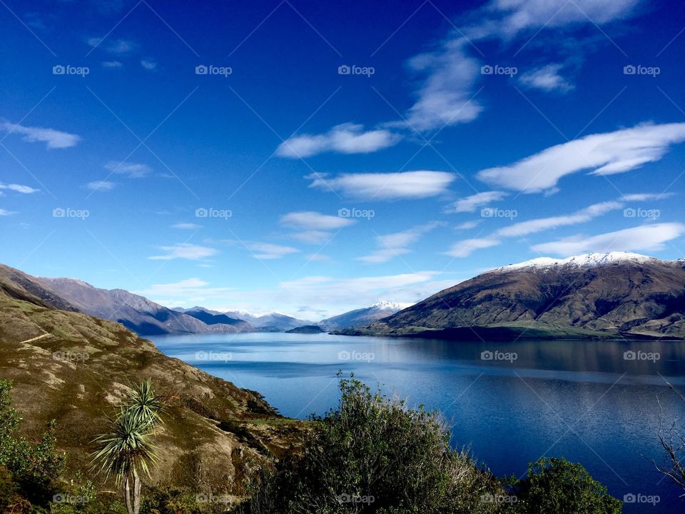 New Zealand Beauty
