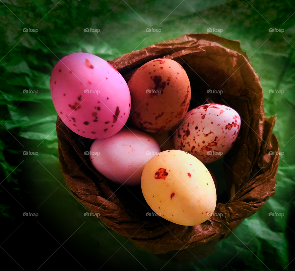 Snowdon chocolate eggs settled in nest