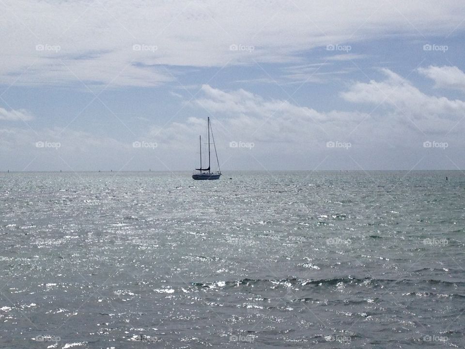 Sailing Miami 