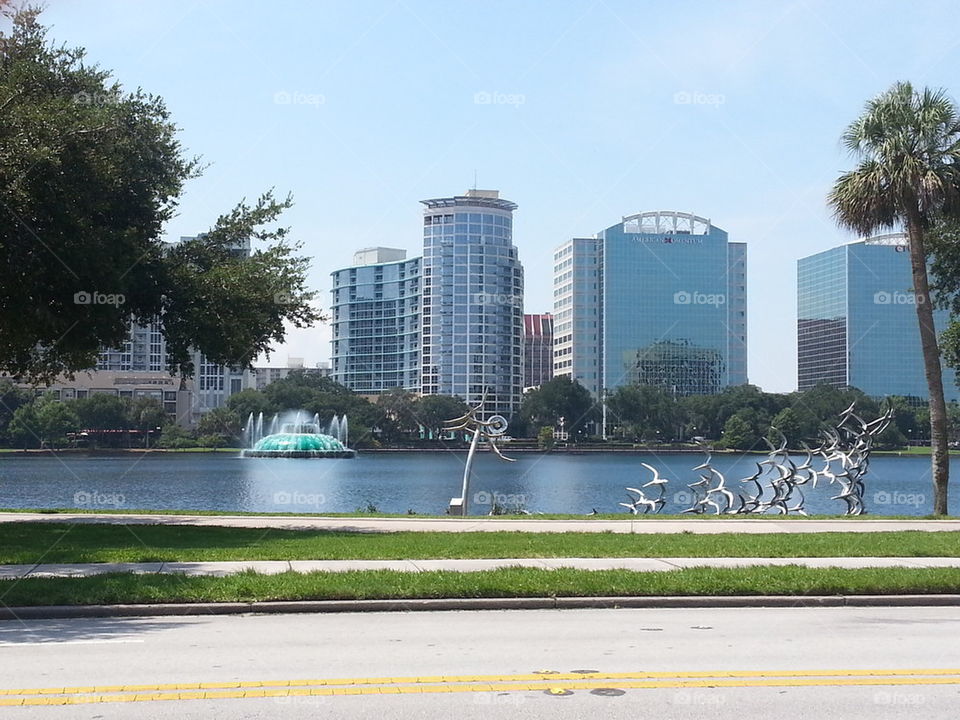 Lake Eola Birds with fountain in Orlando Fl