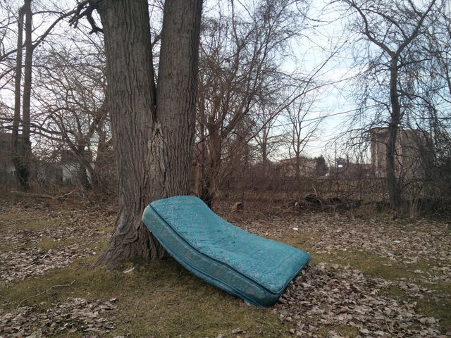 Mattress by Tree