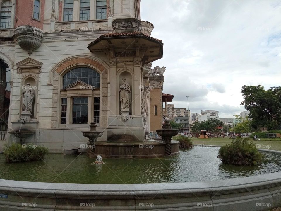 Editors'Choice Photo of the week A beleza da fonte