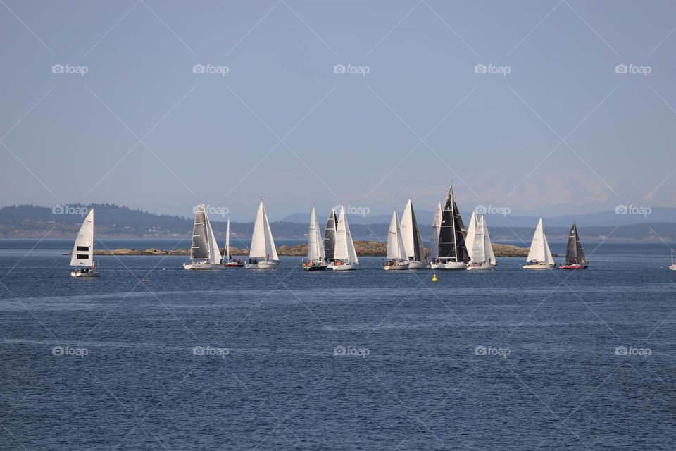 Sailing boats 