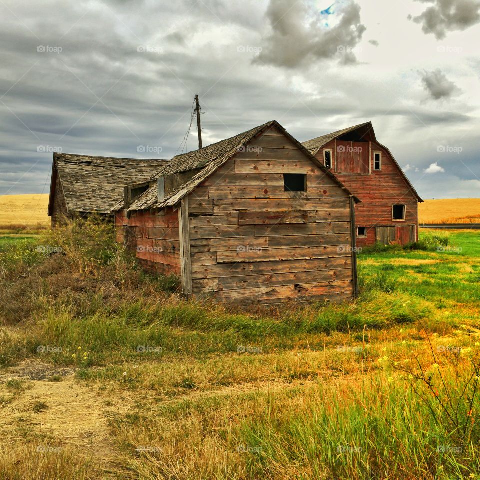 Old Barns