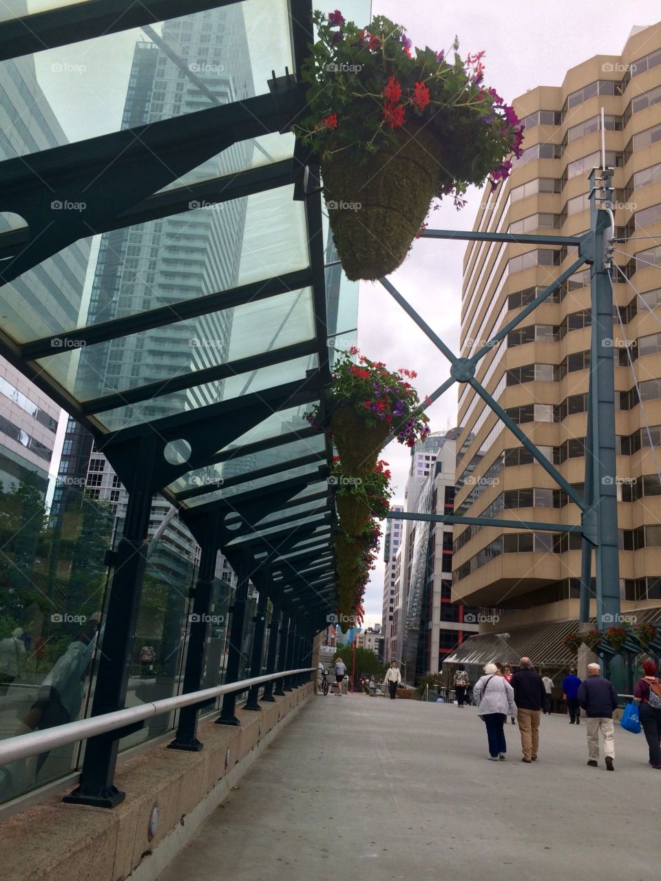 Flower pot hanging in the street 