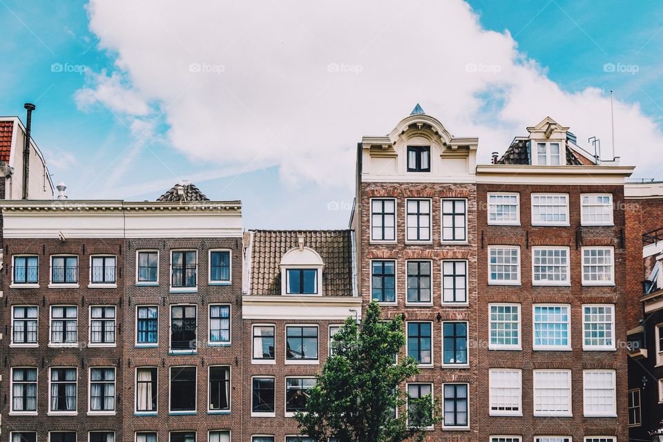 Amsterdam houses