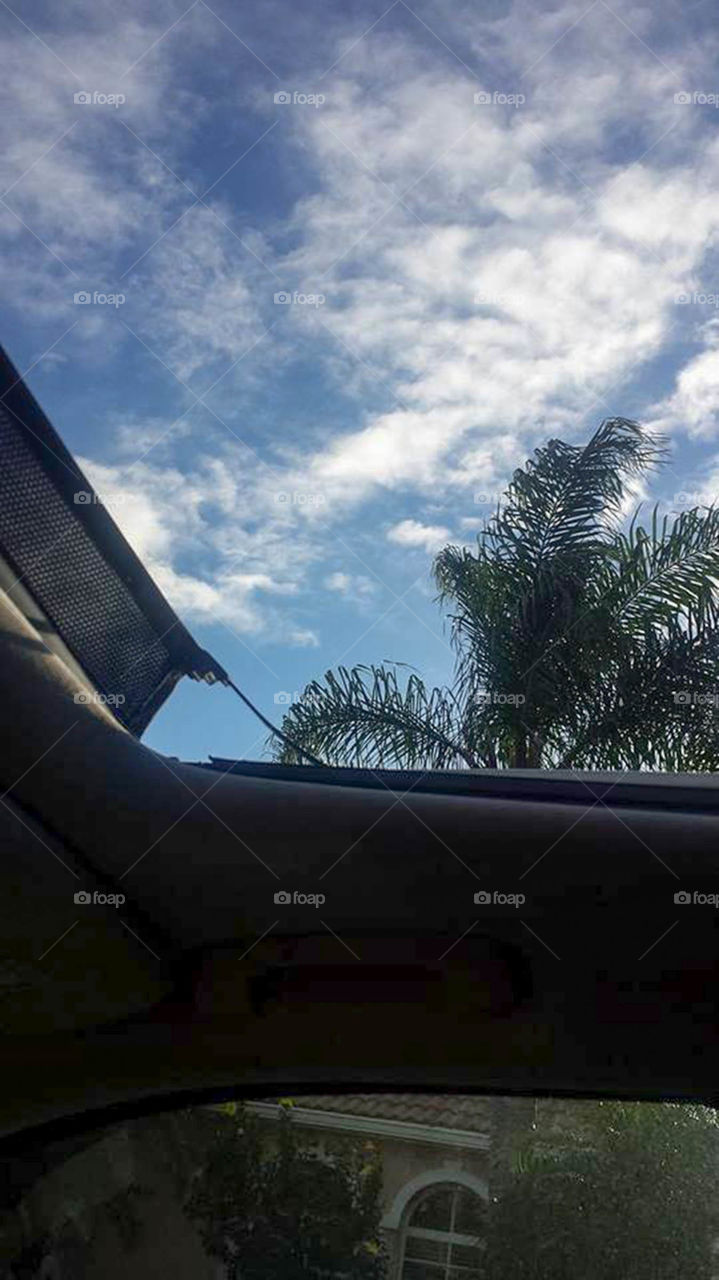 open sunroof. It's a sunroof wide open kind of day in sunny Florida in February!