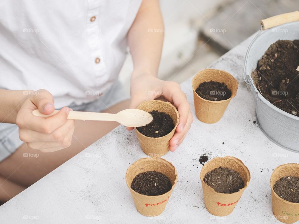 Hands of a caucasian teenage girl planting cucumber seeds in craft glasses picking up earth with a wooden spoon from a zinc bucket, sitting at a table in a forgiving yard, close-up side view. concept diy, planting seeds, ecology