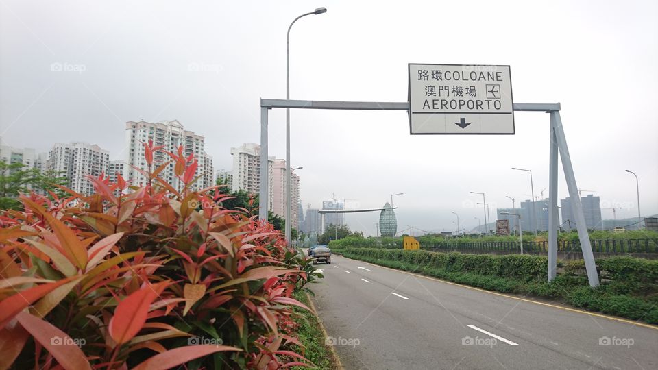 at Ave. dos Jogos da Asia Oriental.  its a highway from Macau to Cotai City a.k.a Las. Vegas of Asia.  200 meters ahead oc that road sign is. rotonda, turm left is go to Macau International Airport, and go straight, is to big and well known casinos in Macau.