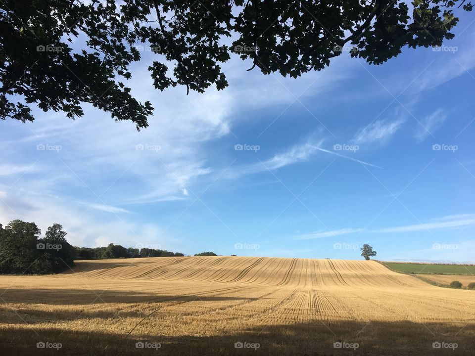 English Countryside View 