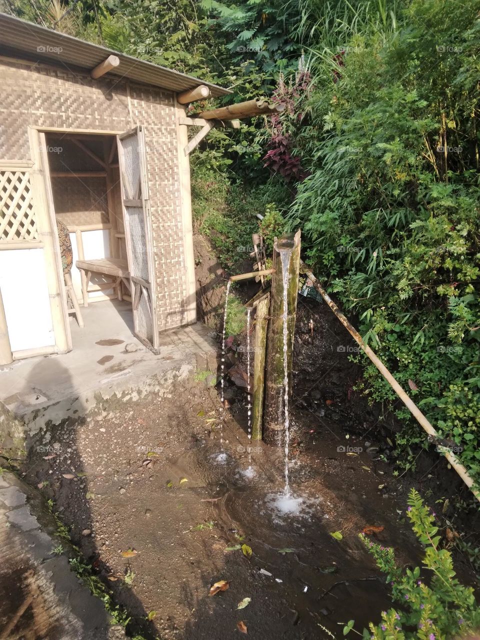 Water fountain in front of the wooden house and a variety of beautiful plants