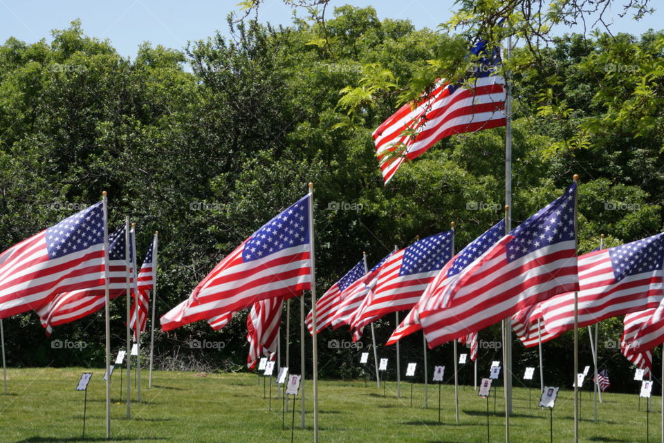 American Flags