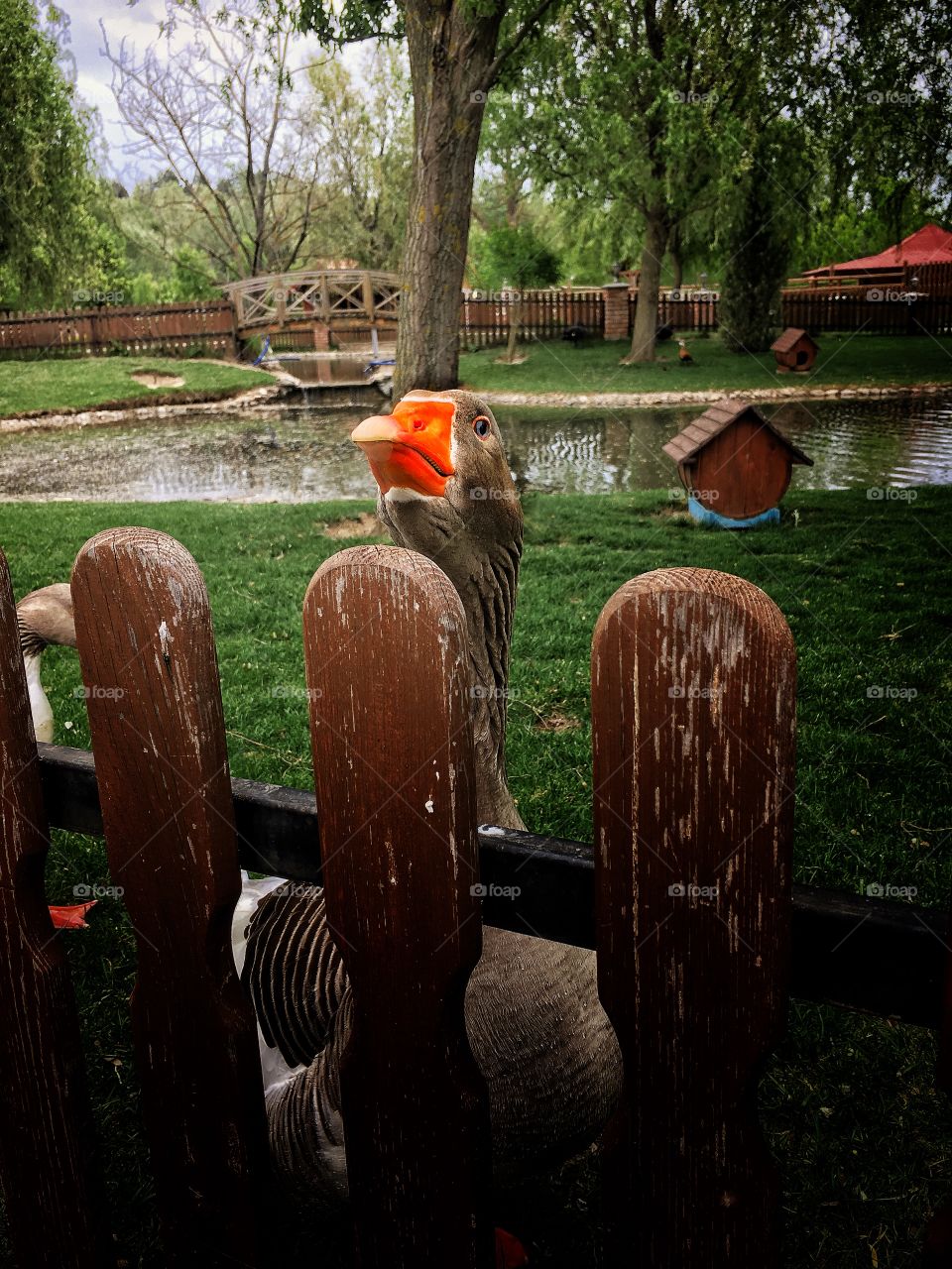 Someone here wants to say hello 