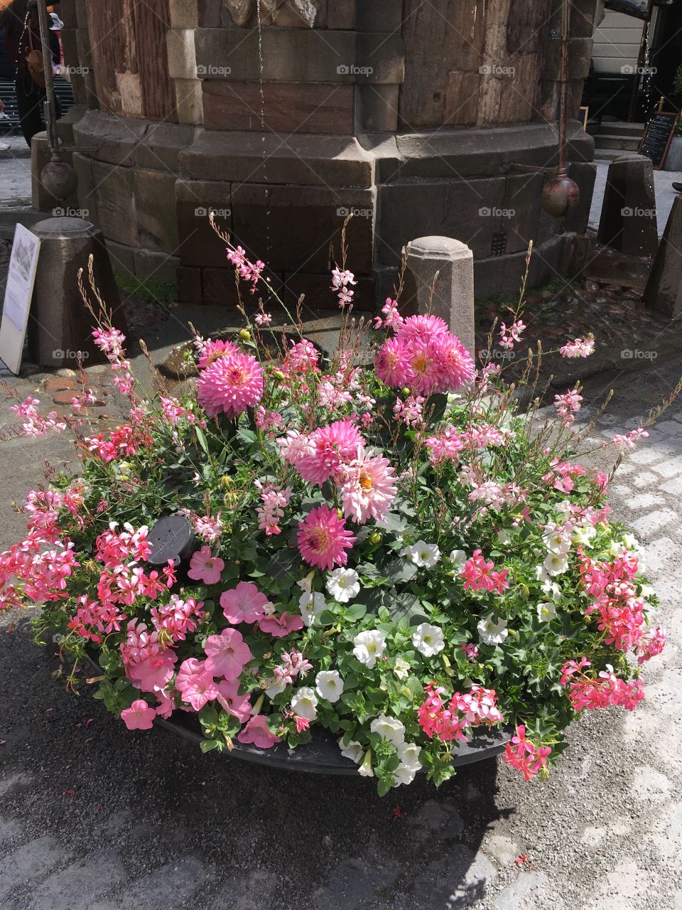 Flowers in Old town